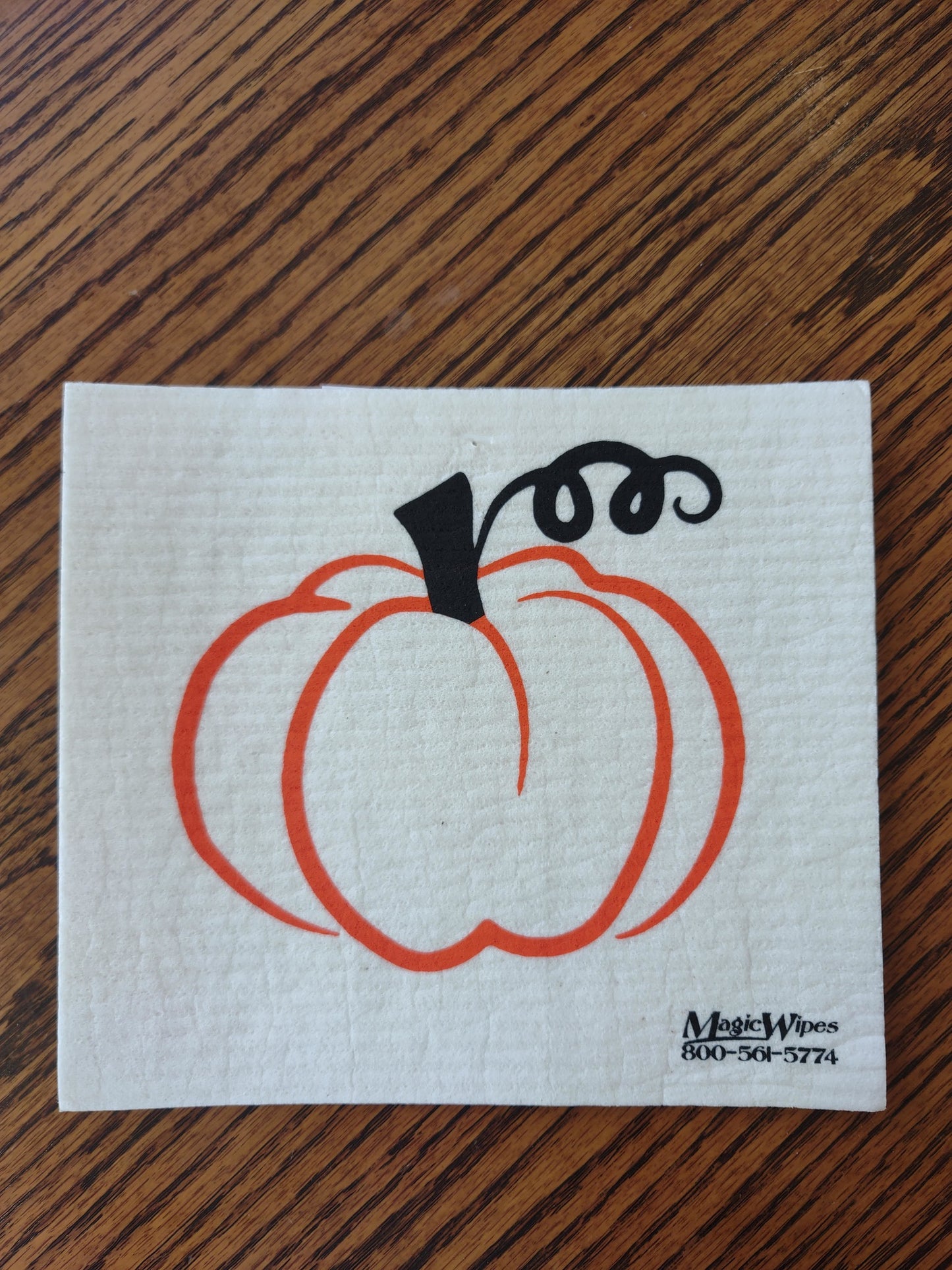 Pumpkin Magic Wipe
